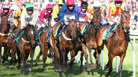 gimcrack tips|Gimcrack Stakes Preview, Tips, Runners & Trends (Ebor Festival).
